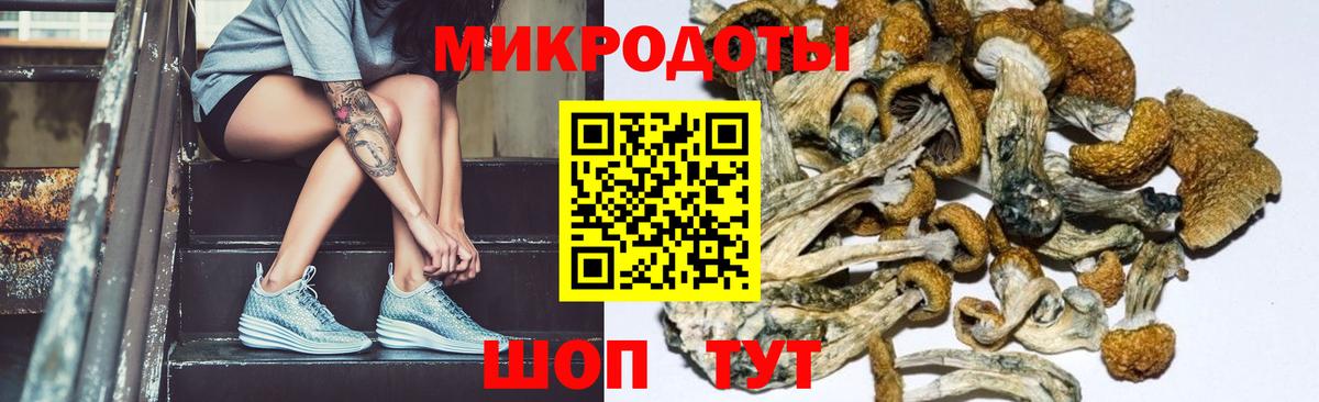 Псилоцибиновые грибы Psilocybe Корсаков