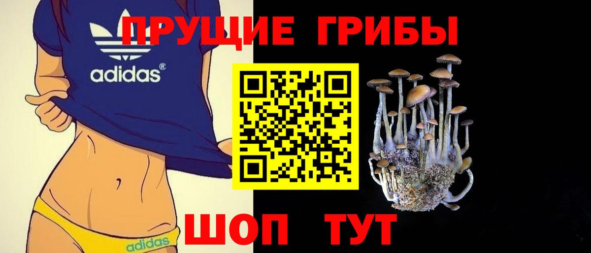 купить наркотик  Вход с VPN  Корсаков  Псилоцибиновые грибы Magic Shrooms 